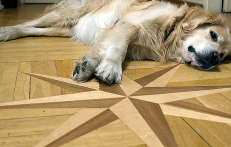 Parquet marqueté